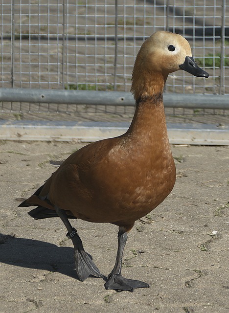 一表现