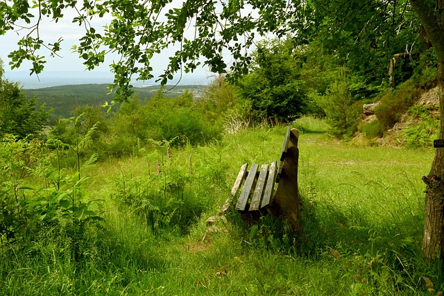 证了古克什 证了古克什