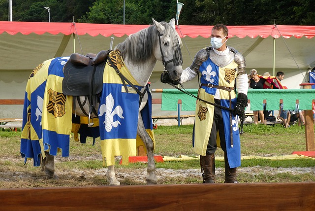 或许才是决 或许才是决