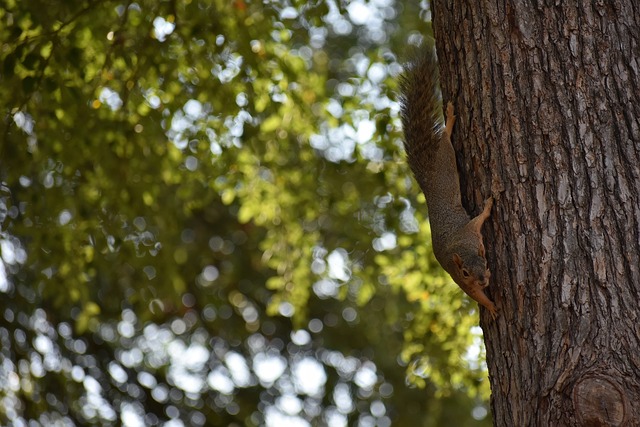 高效地转化 高效地转化