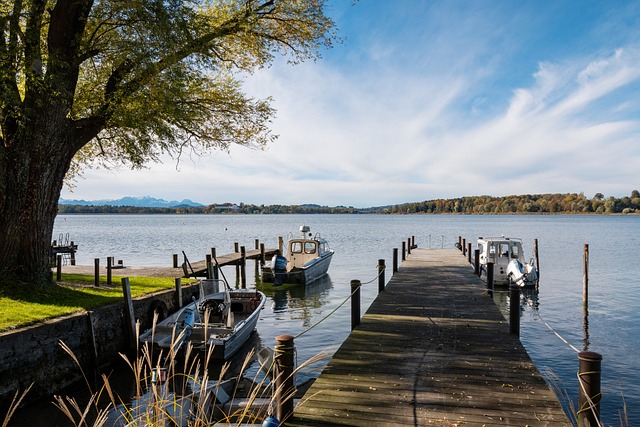让人们看到 让人们看到
